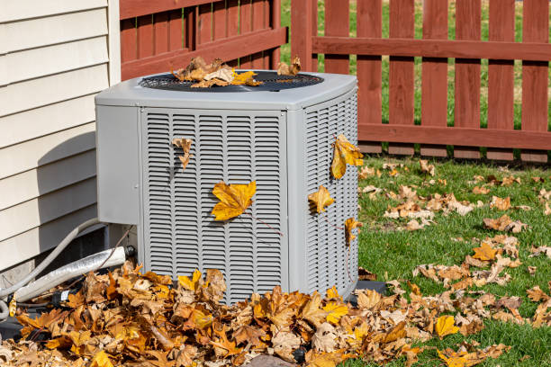 Best Affordable HVAC Services  in Beecher, IL